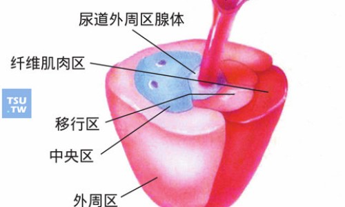 薏米红豆汤的功效与作用、赤小豆汤的功效与作用 -红豆汤的功效与作用网